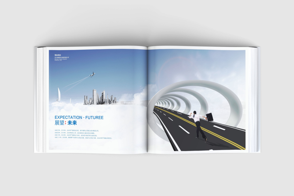 马村区画册设计